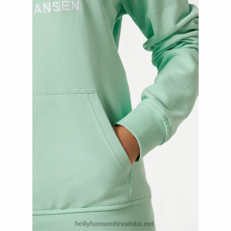 J0HV1890 ženska majica s kapuljačom hh logo žene Helly-Hansen terakota